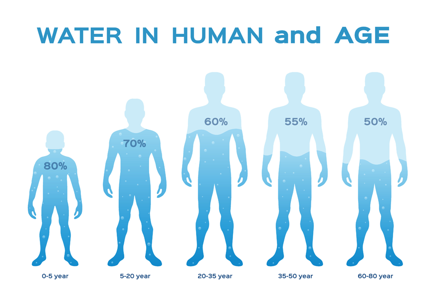 人間の体の中にある水分